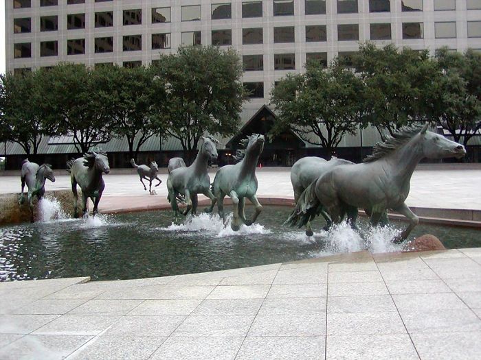 Runnin Horses Texas