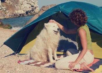 camping que admiten perros