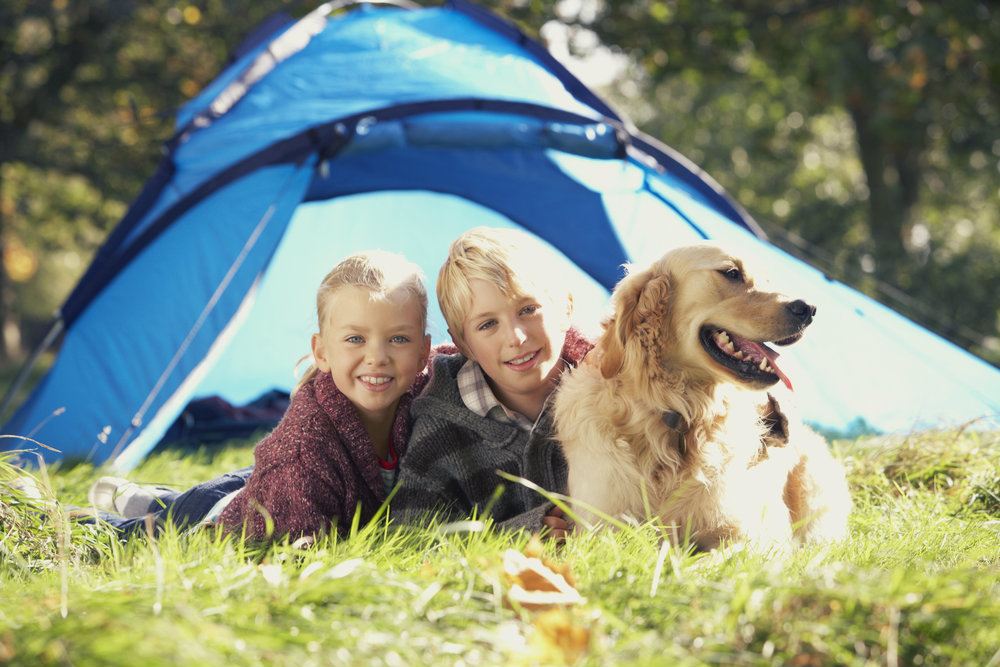 10 camping que admiten perros y Viajar con InterMundial
