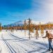 Esquí de fondo: 4 recomendaciones para practicarlo por primera vez