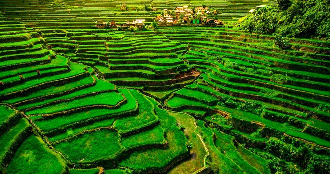 Las terrazas de arroz de Banaue y Batad son uno de los imprescindibles que ver en Filipinas
