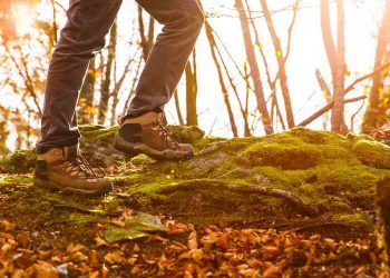 El otoño es la mejor estación para practicar trekking. Te damos algunas recomendaciones para preparar y recorrer las rutas con seguridad.