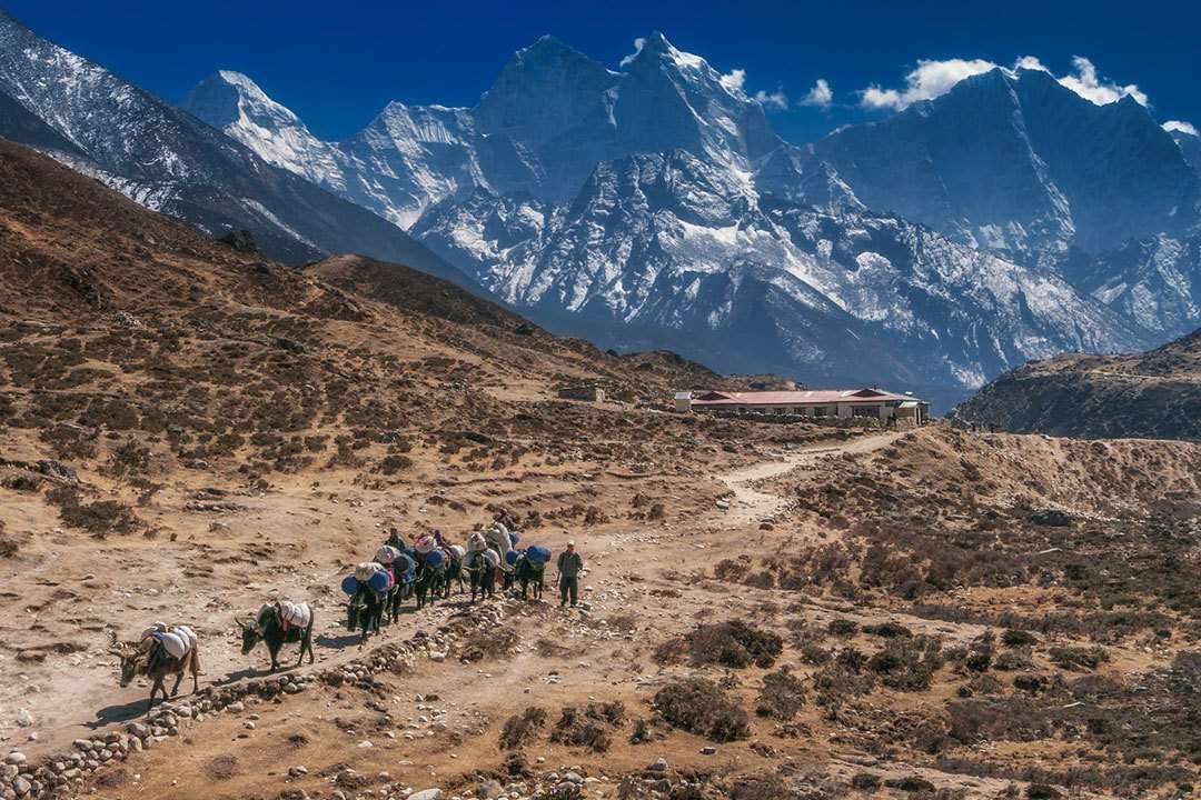 25 imágenes que te transportarán al Campo Base del Everest