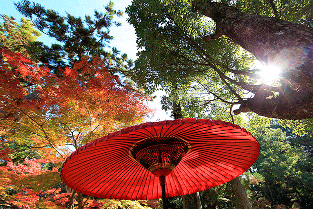 Le 5 migliori mete per innamorarsi dell’autunno