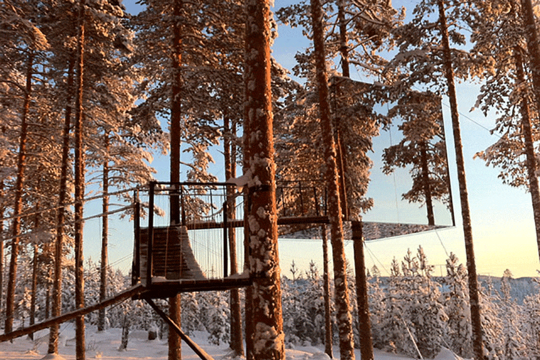Le case sugli alberi più belle del mondo