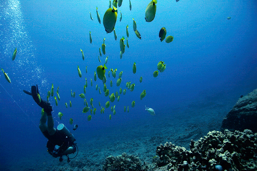 I luoghi più belli per fare immersioni