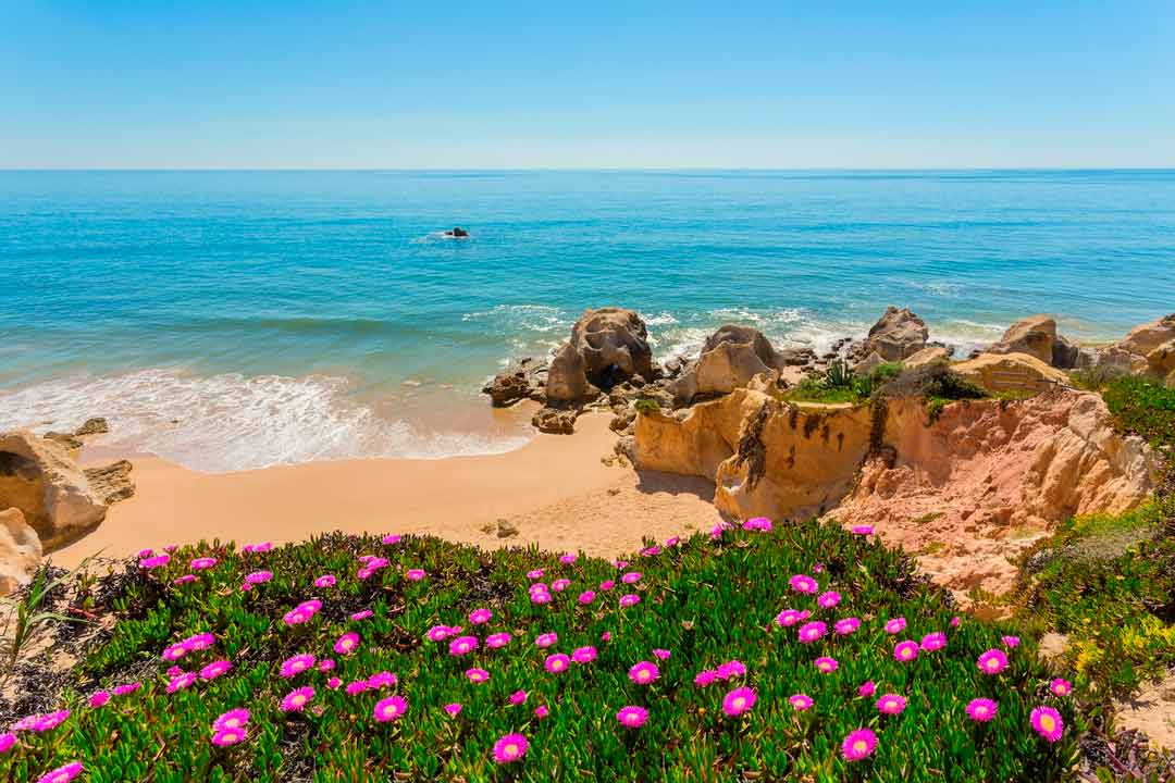 Primavera e viaggi: dove vanno i travel blogger