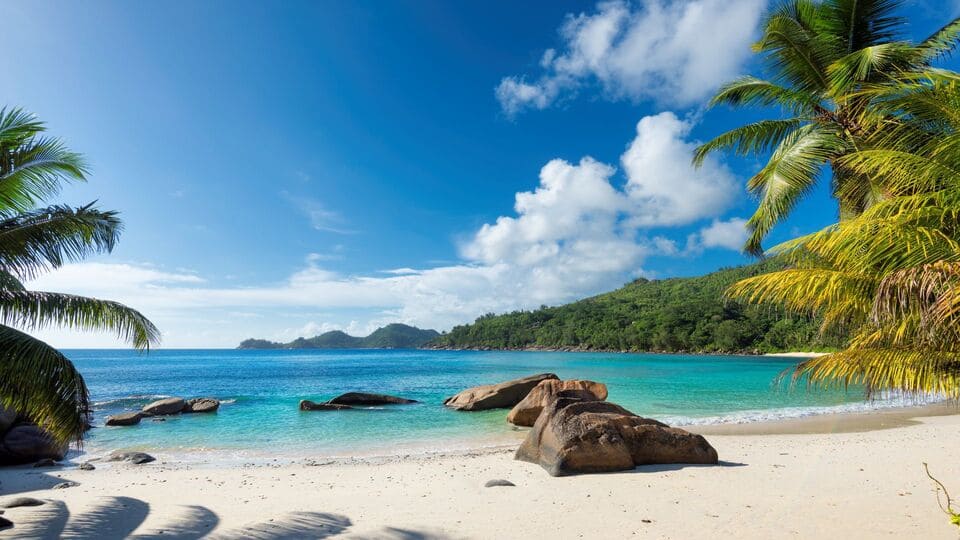 Planificar un viaje a las Bahamas requiere tener en cuenta varios factores: clima, precios, eventos y seguridad. Si priorizas el buen tiempo, apunta a los meses de diciembre a abril. Si el presupuesto es lo que más pesa, mayo y noviembre son grandes aliados.