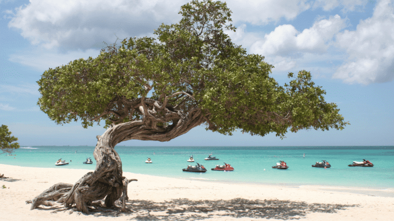 Aruba se presenta al mundo como One Happy Island, y no es solo una frase turística.