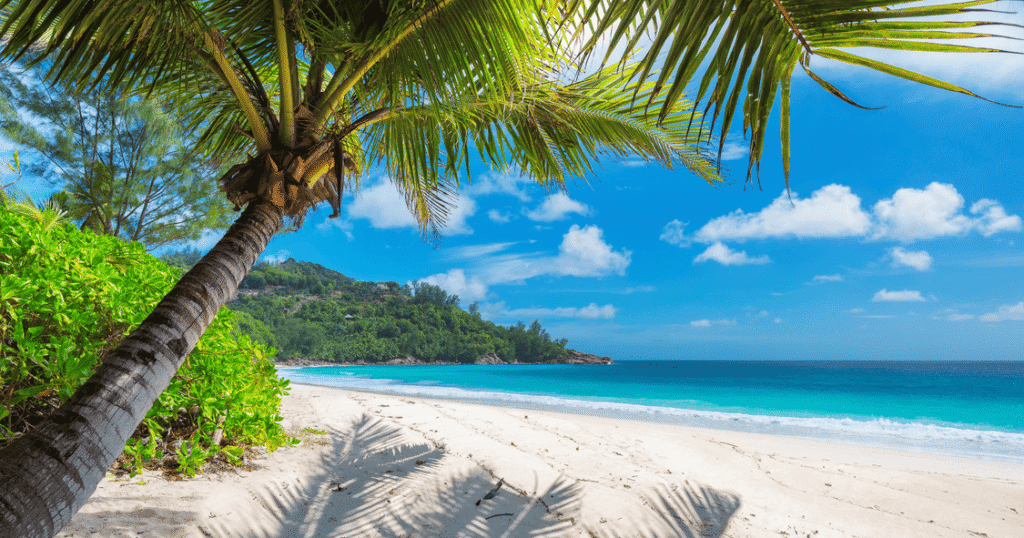 Muchos viajeros prefieren visitar Jamaica en el periodo comprendido entre diciembre y mayo por la estabilidad del mar y las buenas condiciones de visibilidad.