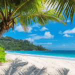 Mejor época para viajar a Jamaica