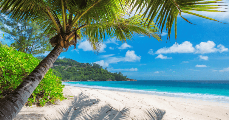 Jamaica es uno de los destinos más populares del Caribe gracias a sus playas, su cultura musical y su clima cálido durante todo el año. Sin embargo, elegir bien las fechas puede marcar una gran diferencia en tu experiencia. La meteorología, la temporada de huracanes, los eventos y los precios varían según el momento del año.
