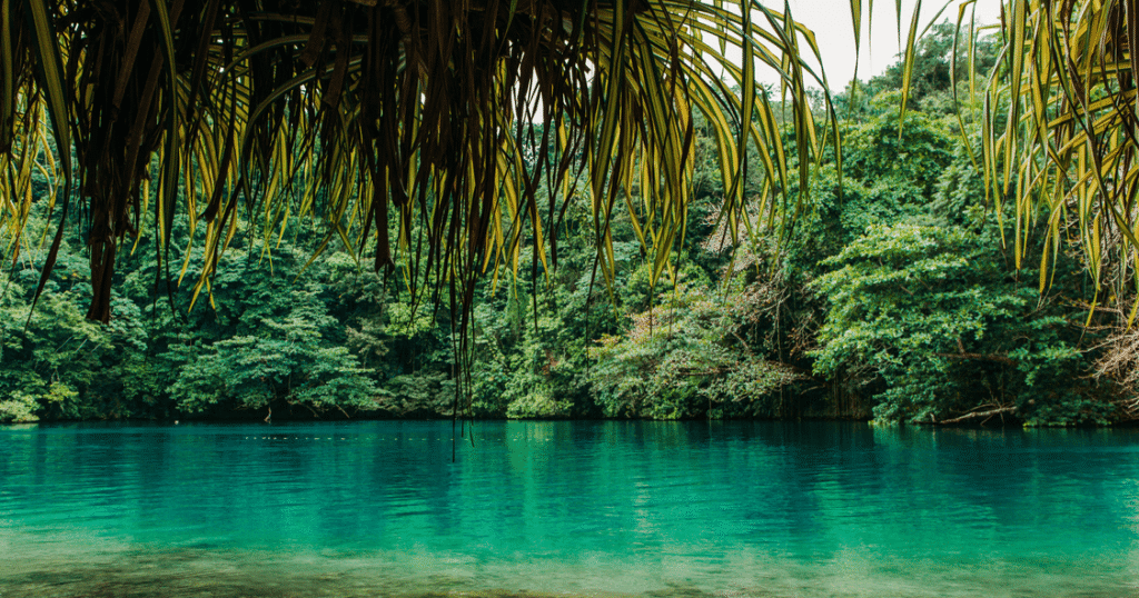 La mejor época para viajar a Jamaica dependerá de tus objetivos. Si buscas el clima más estable, los meses entre diciembre y abril suelen ser la opción preferida. Si priorizas el presupuesto o quieres asistir a determinados eventos, mayo, julio o noviembre pueden ser alternativas muy interesantes.