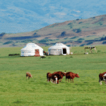 Consejos culturales para tu viaje a Mongolia: lo que debes saber antes de ir
