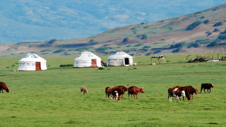 Mongolia combina tres capas culturales que conviene entender antes de llegar: La herencia nómada, el chamanismo y budismo tibetano y la herencia.