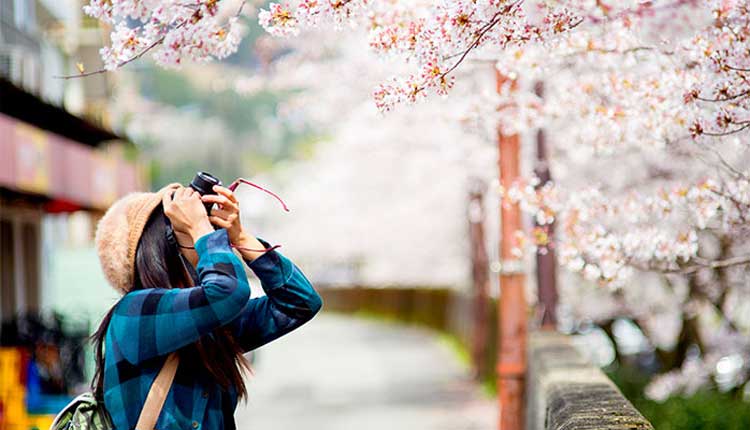 seguro viaje japon