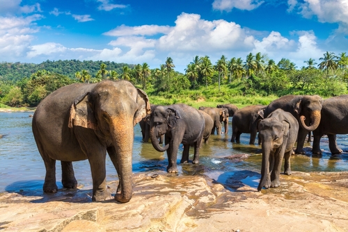 viajar seguro a sri lanka