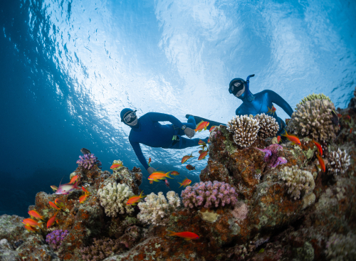 Seguro de buceo Aquasports